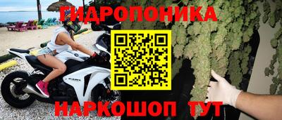 СК Тара