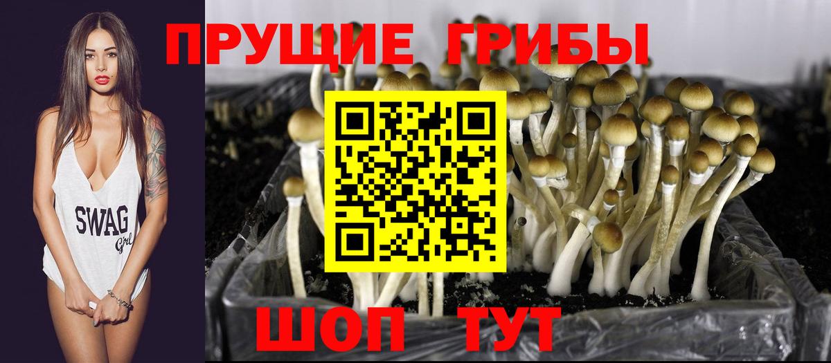 Галлюциногенные грибы Psilocybe  Вход с VPN  хочу наркоту  Богородск 